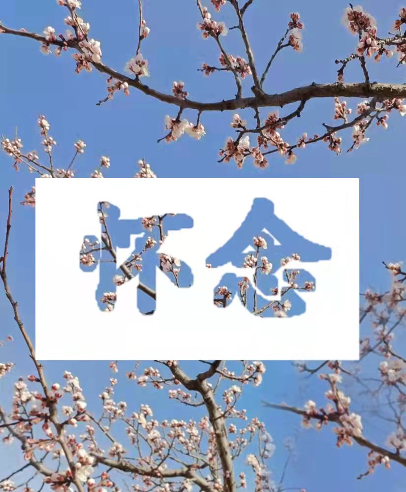 黄色片