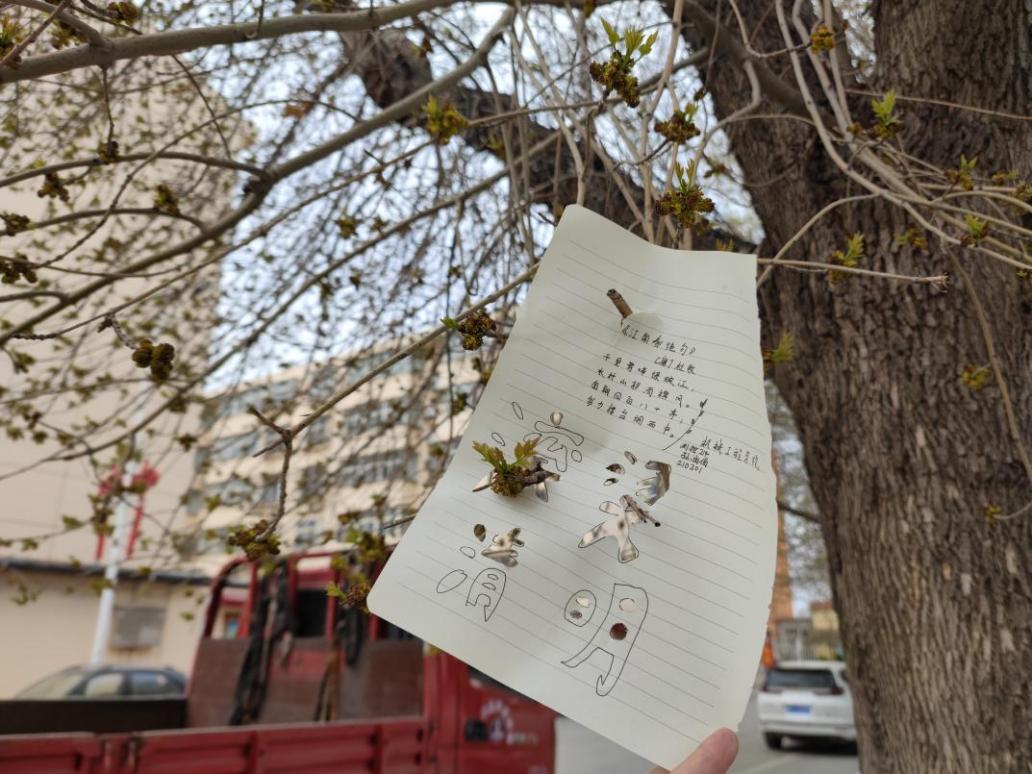 黄色片