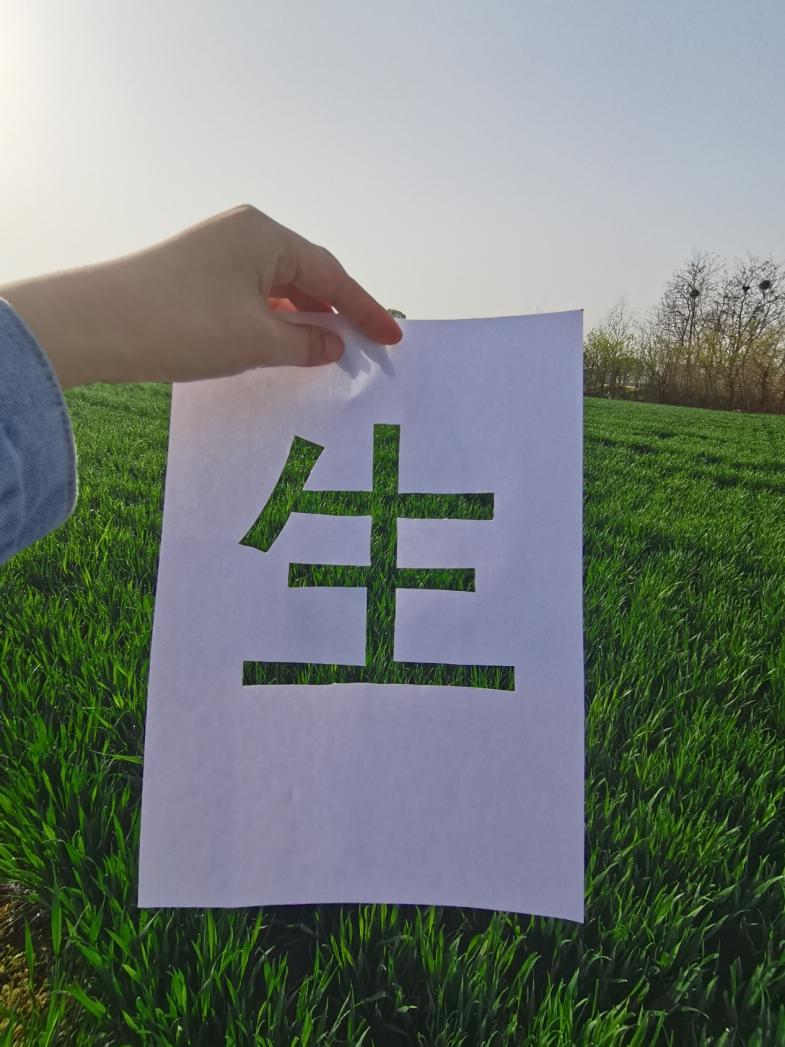 黄色片