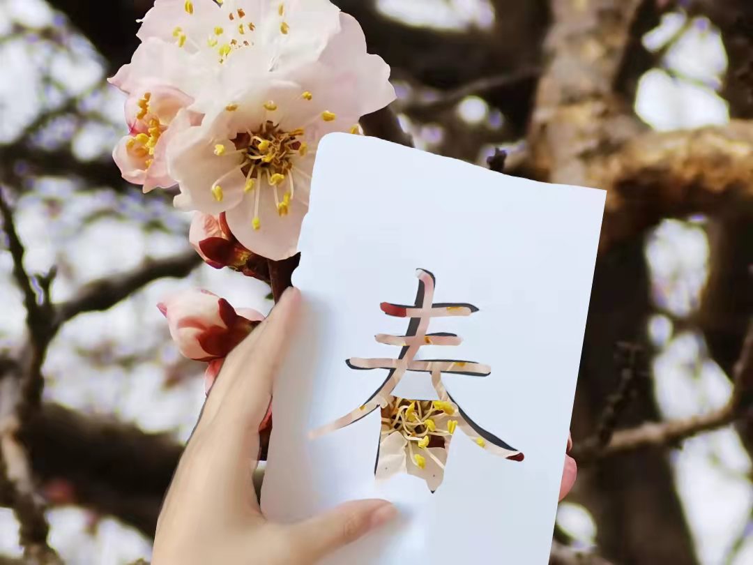黄色片