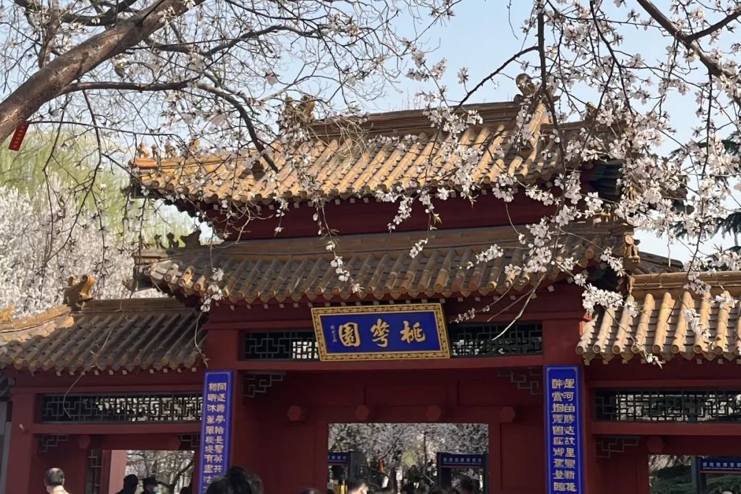 黄色片